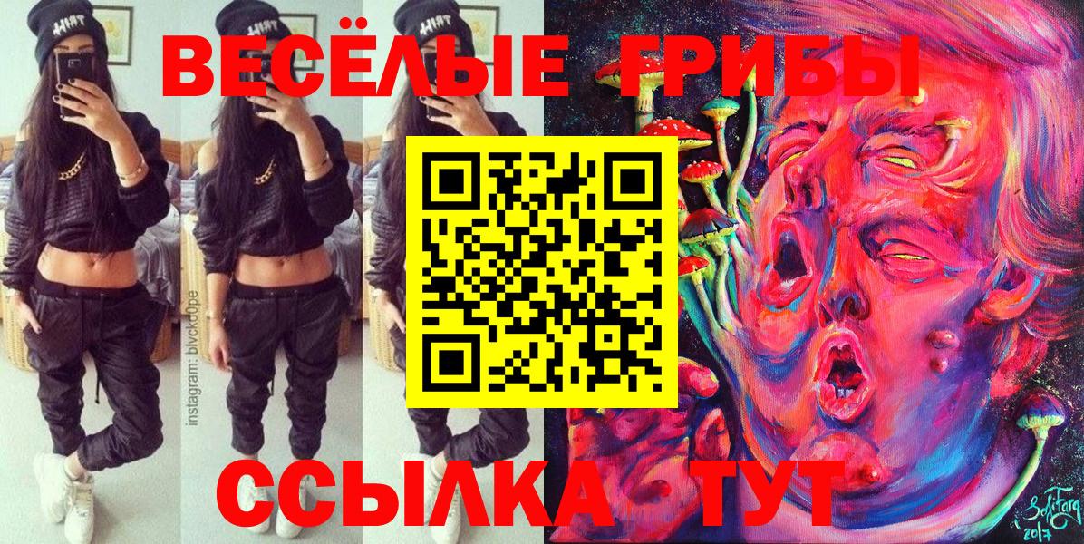 Лесозаводск  Галлюциногенные грибы мицелий  Вход с VPN 